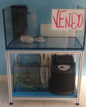 acquario