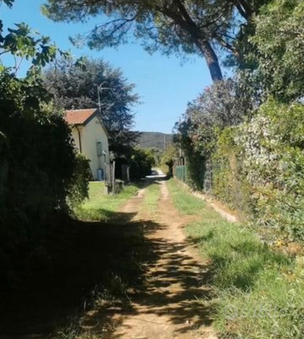 Terreno edificabile D6, Piombino (LI) - Vista 2