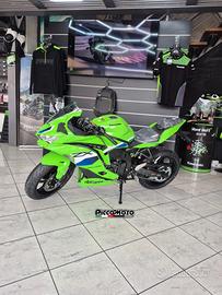 Kawasaki Ninja ZX-4 RR