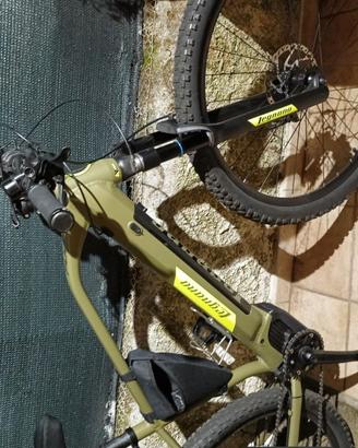 Bici elettrica