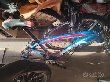 Telaio bici Torpado in alluminio 