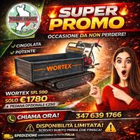 motocarriola cingolata