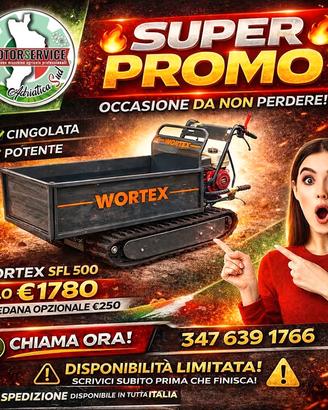 motocarriola cingolata