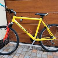 mountain bike ruote 26" 