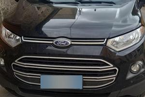 ecosport 