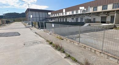 Caraffa di CZ area PIP porzione di capannone