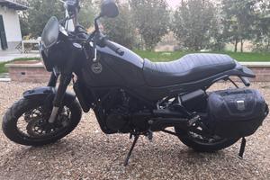 benelli leoncino 500 trail