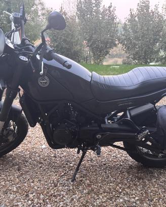 benelli leoncino 500 trail