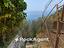 Immagine 29