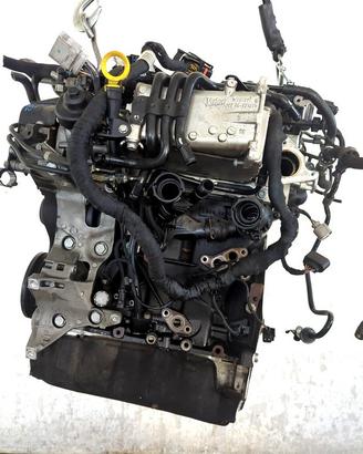 DGD MOTORE VOLKSWAGEN TIGUAN 1.6 D 85KW 5P (2017) 