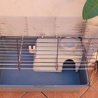gabbietta per conigli