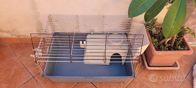 gabbietta per conigli