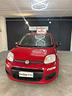 fiat-panda-1-2-in-trattativa-