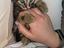 Immagine 3