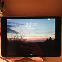 Ipad mini 2 grigio 16 GB wifi+3G A1490