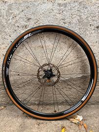 Coppia ruote bici corsa disco DT Swiss + Alexrims