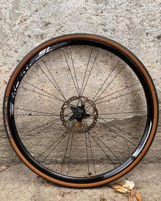 Coppia ruote bici corsa disco DT Swiss + Alexrims