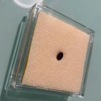 Pietra Granato Almandino 0.50-0.65 carati