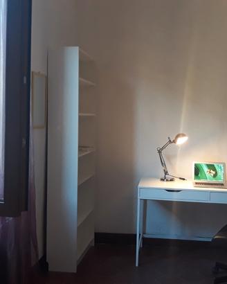Singola, luminosa, perfetta Pisa zona centro