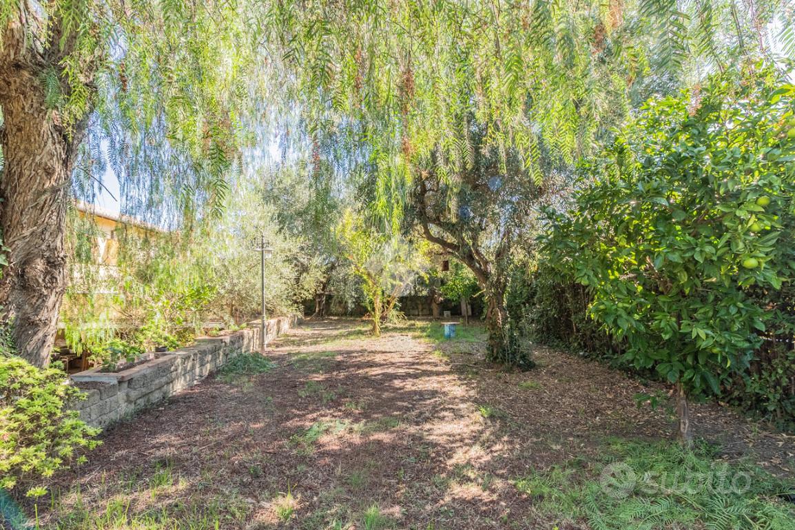 Casa – Cerveteri, Poggio dell'Asino - Altro
