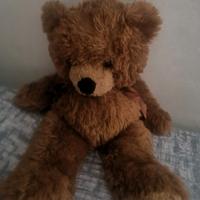 Orso peluche
