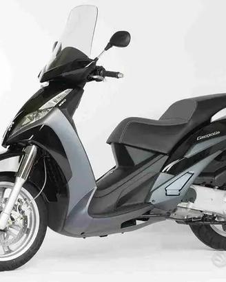 PEUGEOT GEOPOLIS 250 RICAMBI