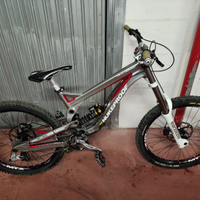 Nukeproof Pulse Mountain bike Downhill
