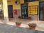 Immagine 1