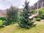 Immagine 24