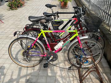 Bici superba scoiattolo iconica vintage