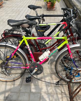 Bici superba scoiattolo iconica vintage