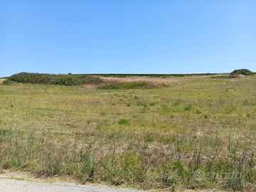 Terreno panoramico di natura agricola