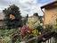Immagine 5