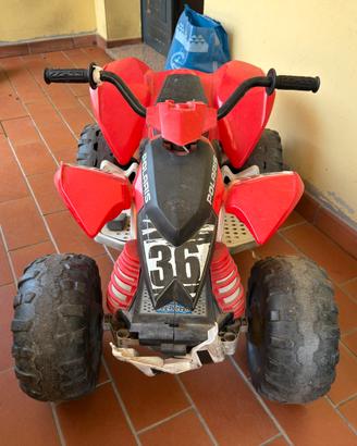 Quad polaris per perego