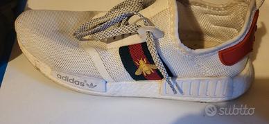 scarpa adidad coll gucci