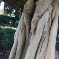 Pelliccia volpe Groenlandia 