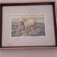 Quadro 2 cavalli
