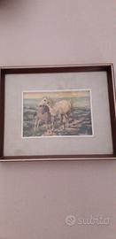 Quadro 2 cavalli