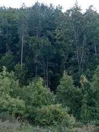 Vari appezzamento di terreno