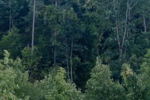 Vari appezzamento di terreno