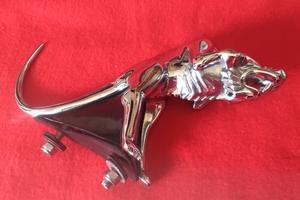 fregio per moto da apporre sul parafango anteriore