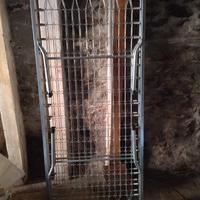 2 reti singole (vendibili anche singolarmente)