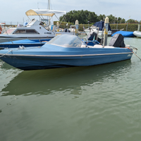 Motoscafo Ilver Panther 420 con Johnson 737