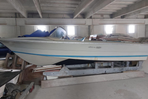 Riva Rudy