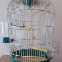 GABBIETTA PER UCCELLINI