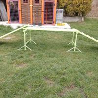 rampa per agilty dog