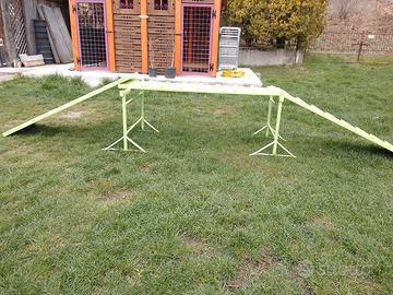 rampa per agilty dog