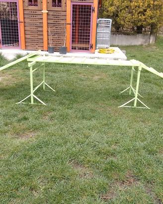 rampa per agilty dog