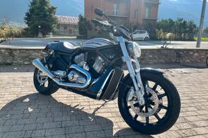 Harley-Davidson V-Rod - 2003