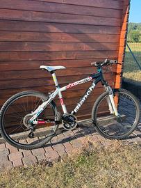 Bici MTB Bianchi